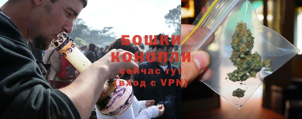 ПСИЛОЦИБИНОВЫЕ ГРИБЫ Горняк