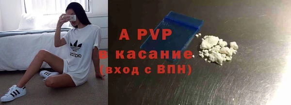 ПСИЛОЦИБИНОВЫЕ ГРИБЫ Горняк