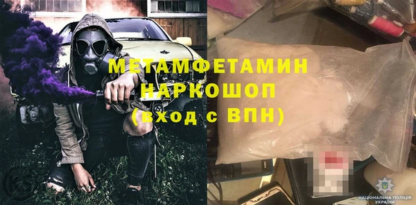 ПСИЛОЦИБИНОВЫЕ ГРИБЫ Горняк