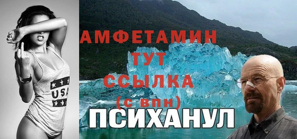 ПСИЛОЦИБИНОВЫЕ ГРИБЫ Горняк