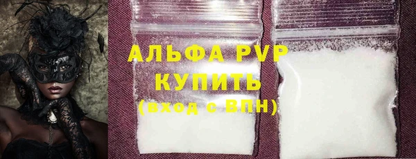 ПСИЛОЦИБИНОВЫЕ ГРИБЫ Горняк