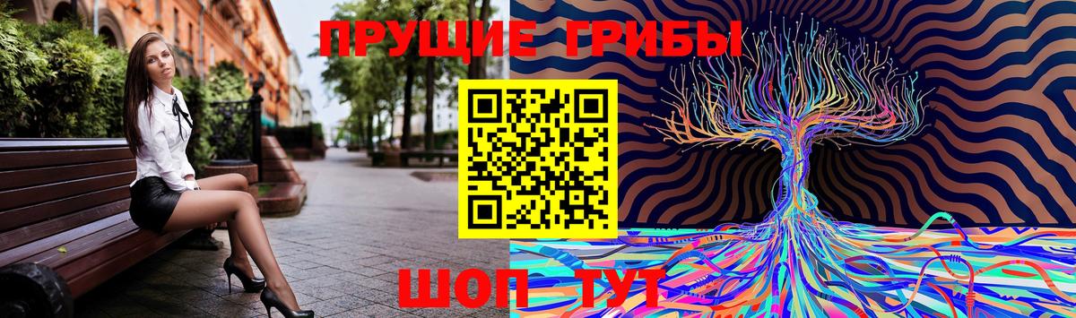 Дальнегорск  Псилоцибиновые грибы мухоморы  Вход с VPN 